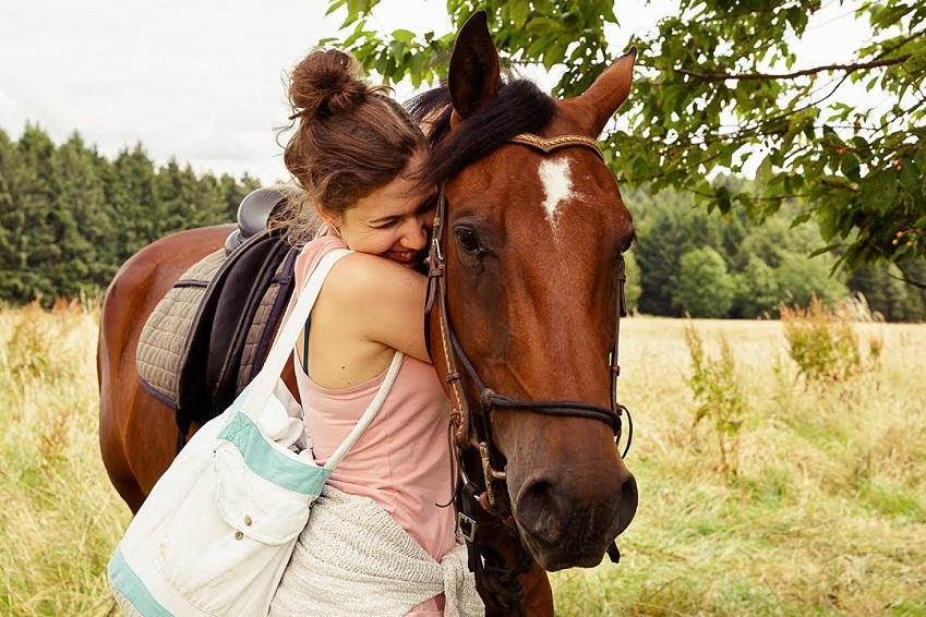 hevostilan salaisuus