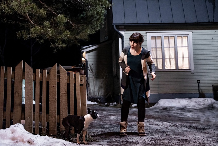 EiHaukkuHaavaaTee_Haukku_HeikkiläPirjo